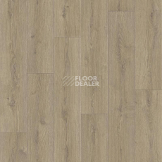 Линолеум Tarkett Praktika BRUNO_1 фото 1 | FLOORDEALER